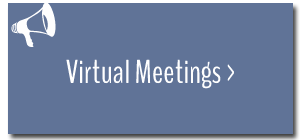 Virtual Meetings